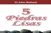 5 Piedras Lisas E-book