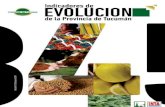 Indicadores de Evolución de la Provincia de Tucumán Nro 4 - Fundación del Tucumán