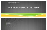 Patologia Genital 2011