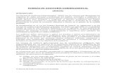 (4)NORMAS DE AUDITORÍA GUBERNAMENTAL(NAGU)