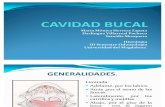 CAVIDAD BUCAL Presentacion Final