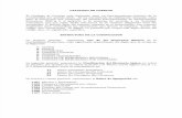 Catalogo de Cuentas y Manual (1)