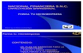 Nacional Financiera (profe)