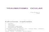 Traumatismo Ocular (1)