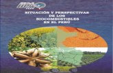 Situación y perspectivas de los biocombustibles en el Perú