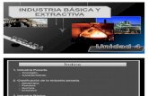 Industria Basica y Extractiva