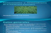 Farmacocinetica y mia de La Marihuana (Cannabis