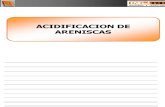 Acidificacion De Areniscas