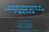 Infecciones Urinaria Altas y Bajas