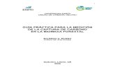 29369907 Guia Practica de Medicion de Carbono en La Biomasa Forestal