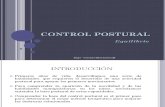 Sesion 7 Control Postural Equilibrio