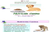 11 Sem. Nutricion Canina