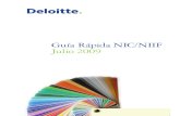 Guia Rapid a 2009 Por Deloitte