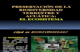 B Clase 3_Biodiversidad[1]