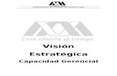 74972819 Manual Vision Estrategica Rev 180911 3[1]