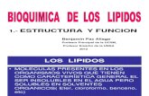 Bioquimica de Los Lipidos- Estructura -Arreglo