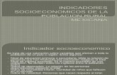 Indicadores Socioeconomicos de La Poblacion Rural Mexicana (1)