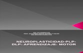 Neuroplasticidad Plp Dlp Aprendizaje, Ppt