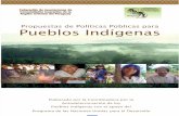 Propuesta de Políticas Públicas para Pueblos Indígenas - FAPI