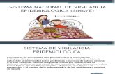 Sistema Nacional de Vigilancia Epidemiologica (Sinave)
