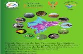Conservacion de Procesos Ecológicos y Evolutivos Loreto(1)
