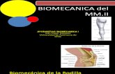 Biomecanica MMII (rodilla)