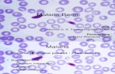 Malaria Berat - Presentasi Modul