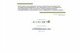 Informe Final Estudio de Riesgo CCMC