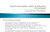 Semiología del Lóbulo Frontal