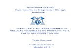 CANNABINOIDES Y CÁNCER DE PRÓSTATA (tesis doctoral de Nuria Olea Herrero)