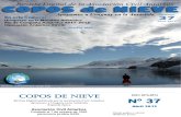 Copos de Nieve Nro 37 - Abril 2012