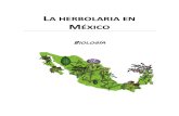 La herbolaria en México1