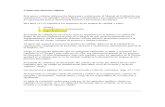 Confeccion Manual Calidad PDF