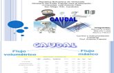 CAUDAL-Control e Instrumentacion
