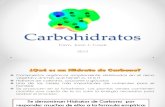 Hidratos de carbono 2012