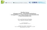 Informe Aspectos Ambientales, Legales y Socioeconómicos Curtiembres -2009