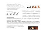 Evolución Biológica y teoría de la evolución de Darwin y Wallace