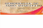 Hemorragia de Tubo Digestivo (3)