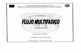 U Zulia Correlaciones-FMT