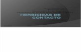 Herbicidas de contacto