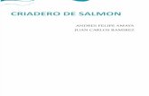 Criadero Salmon