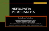 Nefropatia Membranosa Expo