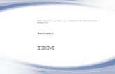 06.- IBM Tivoli Storage Manager FastBack 6.1.3 Mensajes
