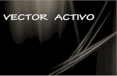 Exposicion Vector Activo