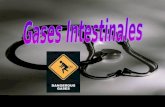 Gases Intestinales