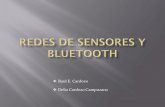 Redes de Sensores y Bluetooth