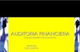 Auditoria Financiera PDF-curso Nuevo Enfoque de Auditoria