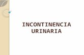 Incontinencia Urinaria Exposición Ginecología
