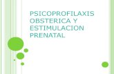 Psicoprofilaxis Obsterica y Estimulacion Prenatal
