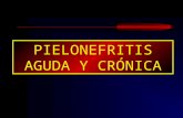 Patologia de La Pielonefritis Aguda y Cronica